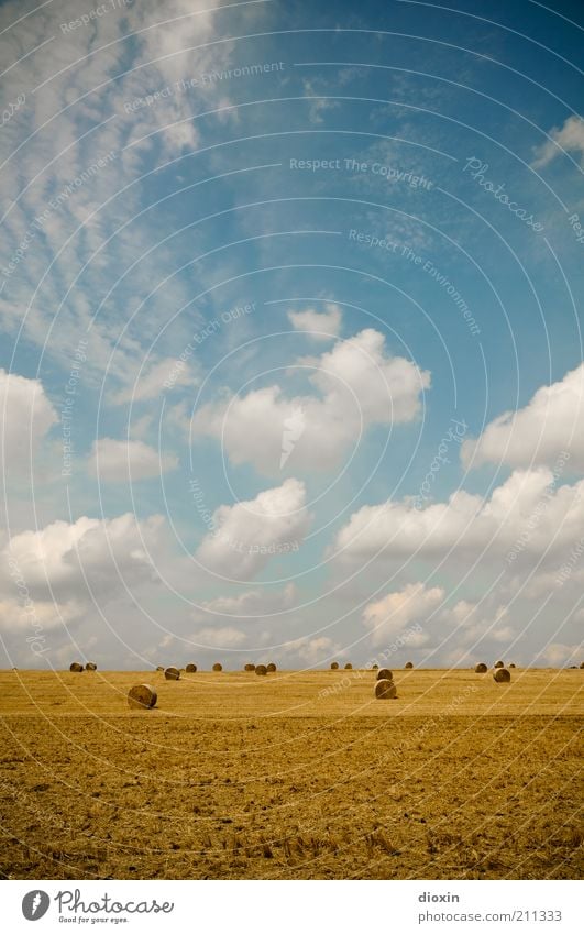 wide field Agriculture Environment Nature Landscape Earth Sky Clouds Summer Agricultural crop Grain field Grain harvest Harvest Hay Hay bale Hay roll