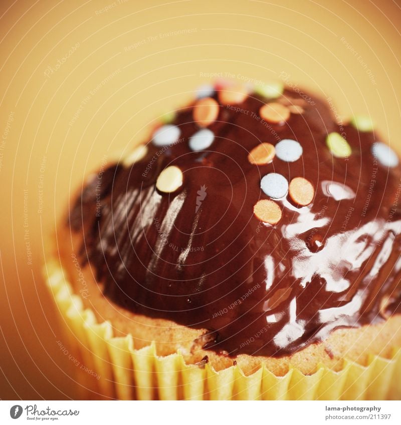 birthday treat Dough Baked goods Cake Chocolate Muffin Brown Confetti Decoration Colour photo Close-up Detail Macro (Extreme close-up) Shallow depth of field