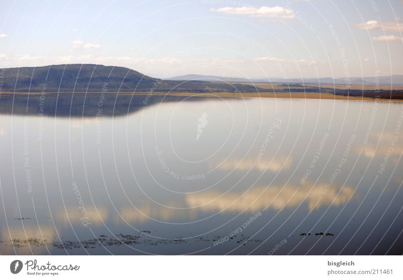 Lake Nakuru / Kenya Nature Landscape Lakeside Calm Africa Colour photo Subdued colour Exterior shot Copy Space bottom Sky Clouds Reflection Surface of water