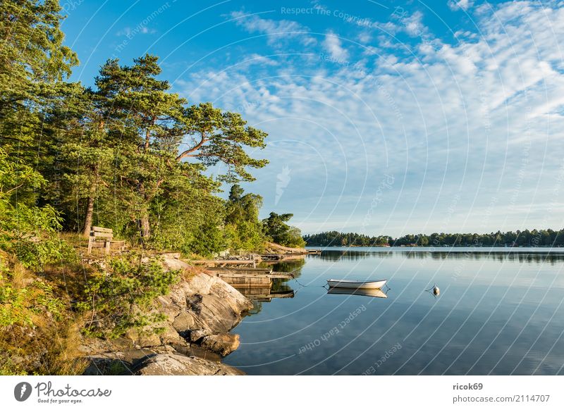 Archipelago off the Swedish coast of Stockholm Relaxation Vacation & Travel Tourism Island Nature Landscape Clouds Tree Forest Coast Baltic Sea Watercraft Blue