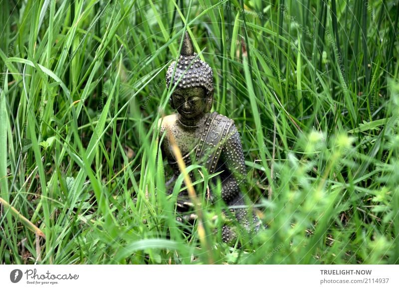 Small Buddha sitting half hidden in the green grass Happy Healthy Wellness Harmonious Well-being Contentment Relaxation Calm Meditation Sculpture Nature Spring