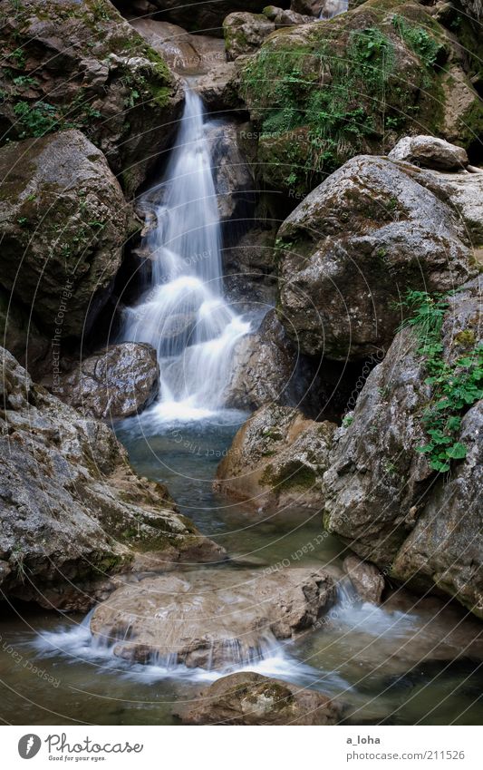 nature 4.4 Calm Mountain Nature Elements Water Plant Rock Alps Brook Waterfall Movement Glittering Fluid Fresh Cold Wet Clean Contentment Power Esthetic