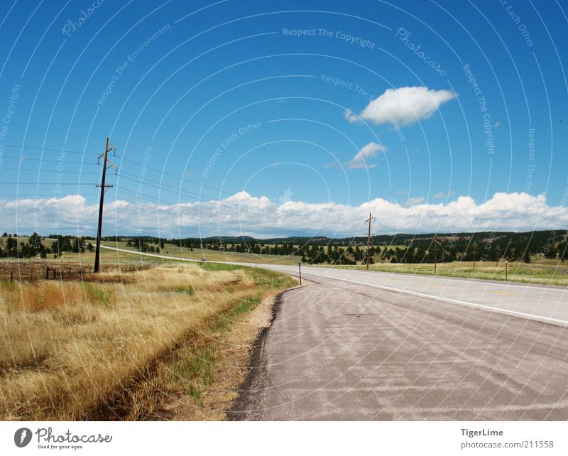Roadside View Landscape Air Sky Clouds Horizon Summer Beautiful weather Warmth Drought Grass Plain Colorado Street Far-off places Free Infinity Hot Long Speed
