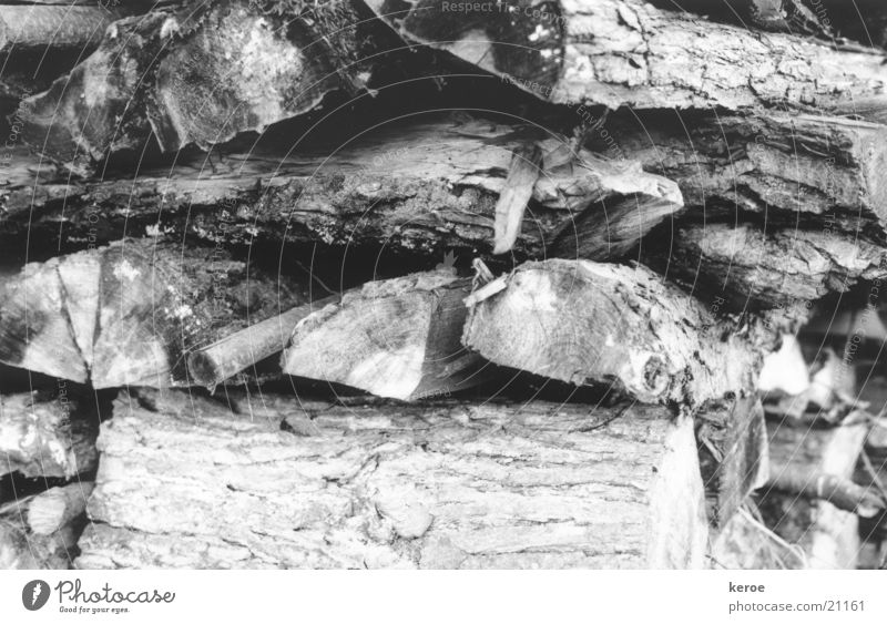 logs Wood Tree bark Black & white photo stratified
