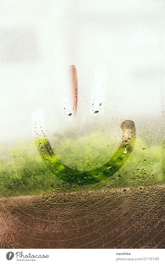 Smiley face in a wet window Face Nature Plant Water Drops of water Spring Weather Fog Rain Window Glass Crystal Smiling Cool (slang) Friendliness Happiness