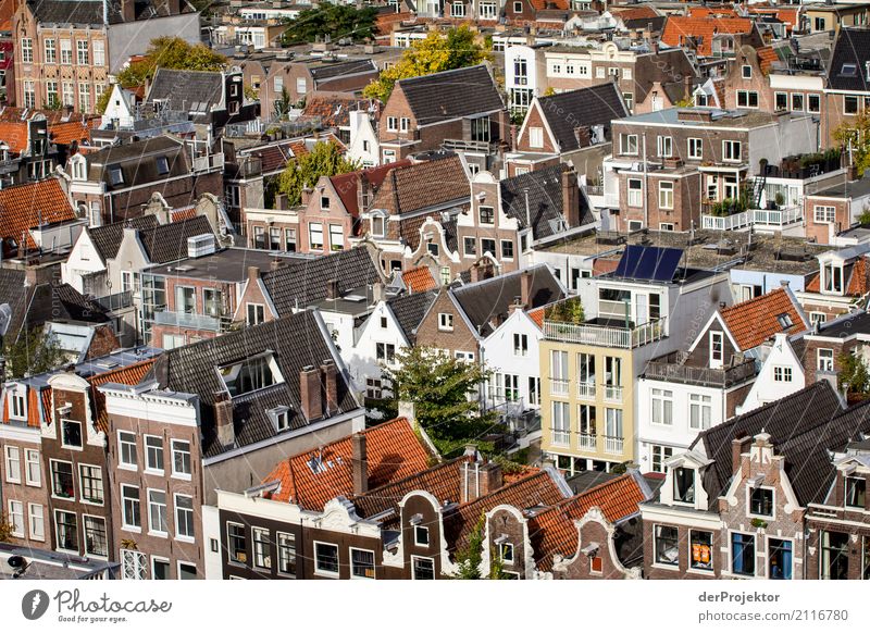 Amsterdam houses I Wide angle Central perspective Deep depth of field Sunbeam Reflection Contrast Shadow Light Day Copy Space middle Copy Space right