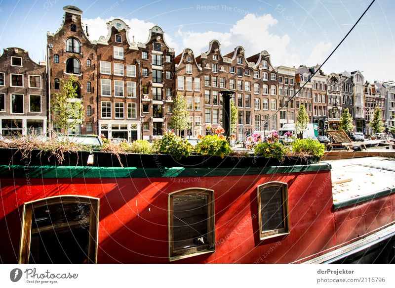 Amsterdam canals IV Wide angle Central perspective Deep depth of field Sunbeam Reflection Contrast Shadow Light Day Copy Space middle Copy Space right