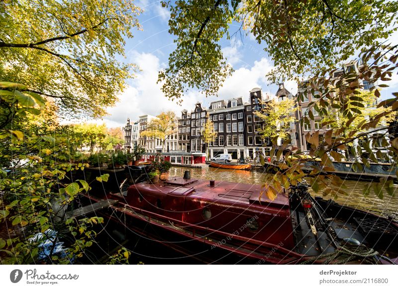 Amsterdam canals I Wide angle Central perspective Deep depth of field Sunbeam Reflection Contrast Shadow Light Day Copy Space middle Copy Space right