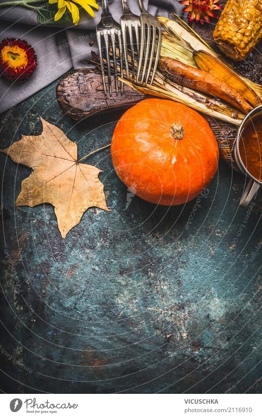 Autumn dishes with pumpkin cook Food Vegetable Nutrition Organic produce Vegetarian diet Crockery Cutlery Style Design Healthy Eating Winter Table Kitchen