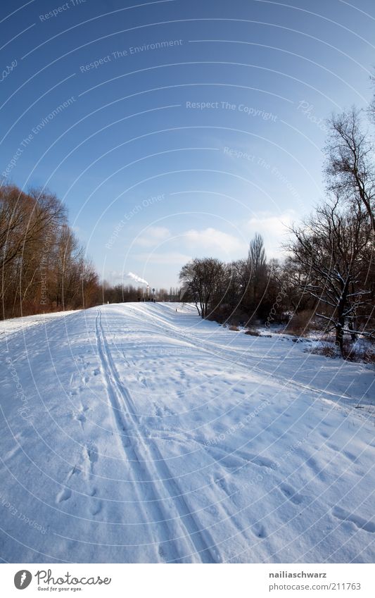 winter Environment Nature Landscape Sky Winter Climate Weather Beautiful weather Tree Field Hill Cold Blue Brown White Snowscape Snow layer Lanes & trails
