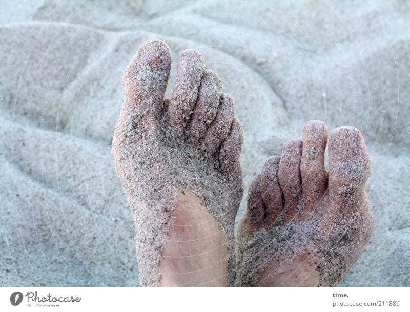 sandich salzich fischich happy Skin Relaxation Summer Beach Human being Feet 2 Sand Warmth Baltic Sea Lie Wet Soft Blue Gray Break Sticky Granules Grain of sand