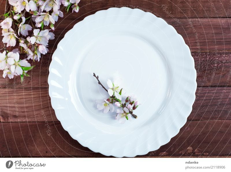 Empty white plate Crockery Plate Flower Wood Fresh Brown White empty branch almonds Dish Top utensils Colour photo Deserted