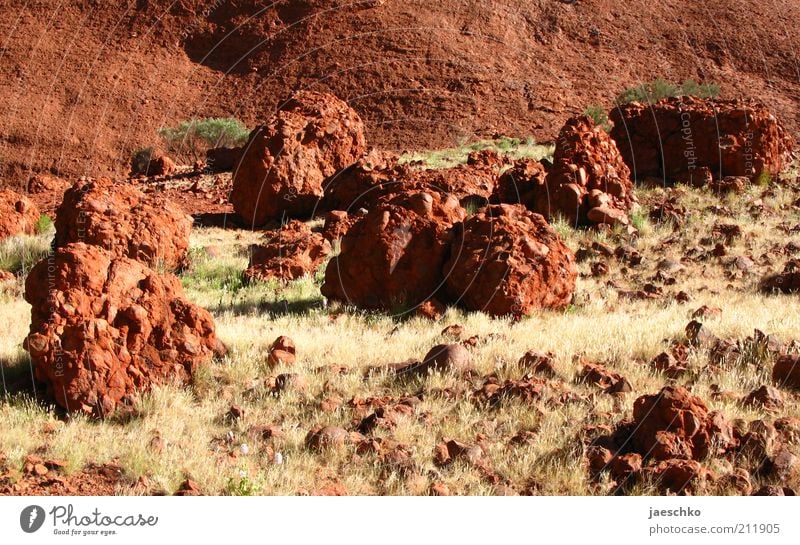 red planet Landscape Elements Earth Warmth Drought Grass Steppe Stone Hot Wild Red Bizarre Surrealism Gravel Fragment Kata Tjuta Outback Martian landscape