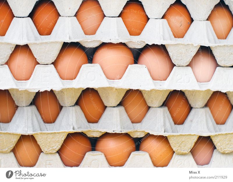 eggs Food Nutrition Round Egg Eggs cardboard Cardboard Stack Colour photo Close-up Pattern Deserted Goods Day