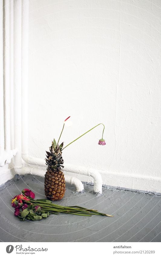 Pineapple for the artist Fruit Nutrition Eating Lifestyle Living or residing Room Atelier Heating Heater Heating pipe Gift Target Exhibition Exhibition room Art