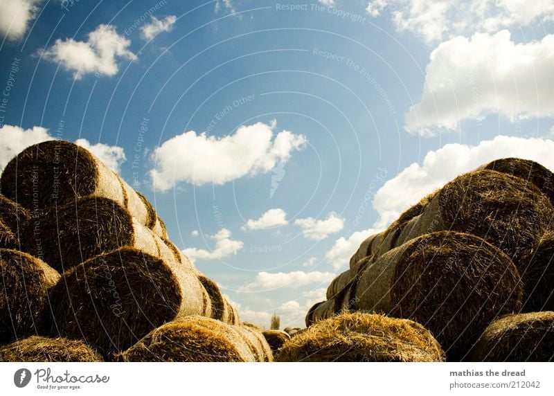 V Environment Nature Landscape Air Sky Clouds Summer Beautiful weather Plant Grass Agricultural crop Round Bale of straw Feed Heap Stack Pyramid Symmetry Calm