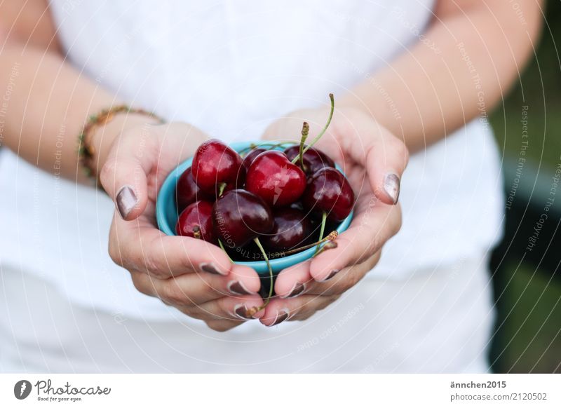 Cherries II Cherry Hand Bowl Turquoise Red To hold on Fingers Summer Healthy Eating Dish Food photograph Fruit Green White Nail Nail polish Warmth Exterior shot