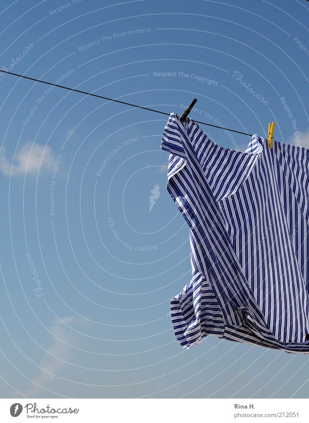 hang out Shirt Fresh Cleanliness Purity Striped Clothesline Clothes peg Sky Dry Wet Laundry Colour photo Copy Space left Copy Space top Copy Space bottom