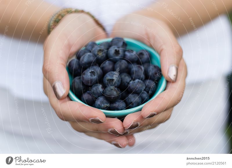 blueberries Summer Nature Berries Fruit To hold on Bowl Blueberry Vacation & Travel amass Healthy Eating Dish Food photograph Cooking White Turquoise Hand