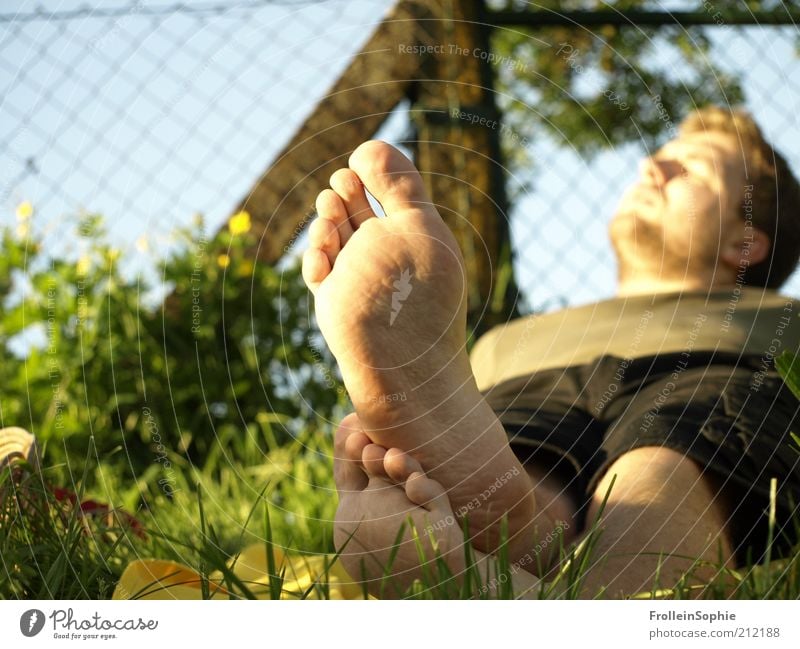 sunbathing Vacation & Travel Summer Sunbathing Human being Masculine Feet 1 Spring Beautiful weather Meadow Barefoot Relaxation To enjoy Lie Natural Warmth