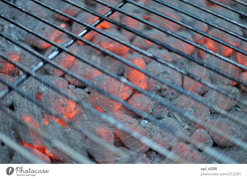 I glow for you Leisure and hobbies Summer Illuminate Authentic Red Black Silver White Optimism Esthetic Barbecue (apparatus) Charcoal (cooking) Barbecue (event)