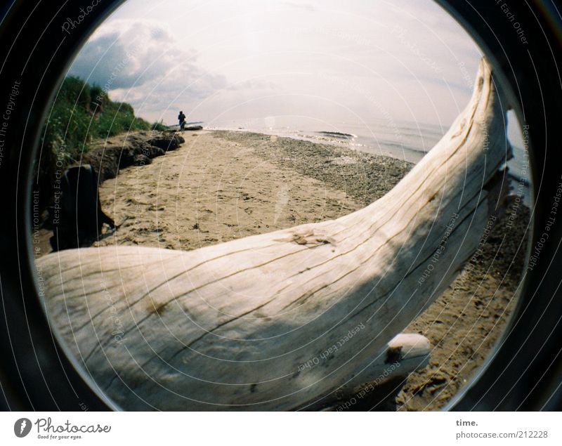 A place for my sweetheart Summer Beach Ocean Landscape Sand Water Tree Coast Wood Lie Death Log Wood grain To go for a walk Beige Transience Wide angle Horizon