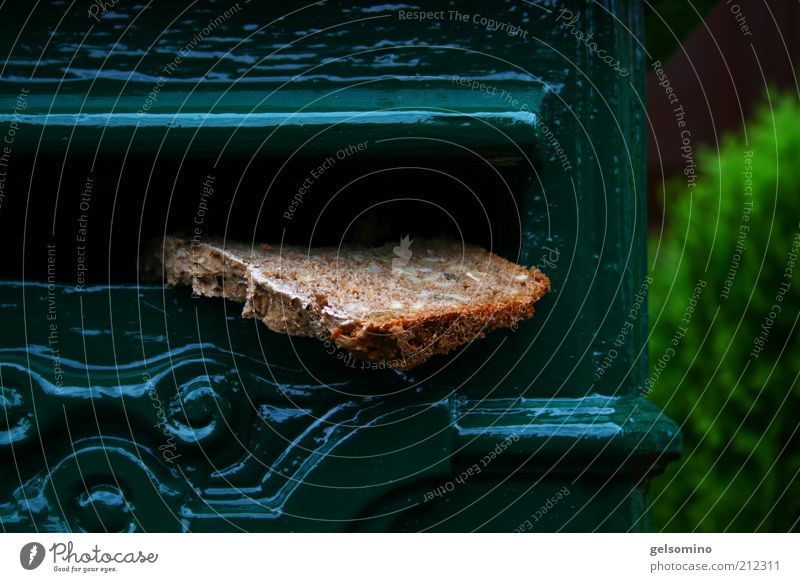 Bread for the world Nutrition Mailbox Letter (Mail) Metal Crazy Colour photo Day Shallow depth of field Decoration Opening Interject Exceptional Slice of bread