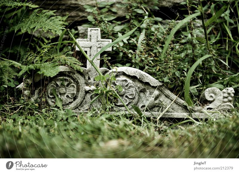 R U H E ! ! Summer Sign Sadness Grief Death Loneliness Calm Colour photo Exterior shot Tomb Christian cross Ornament Ornamental Transience Tombstone Remember