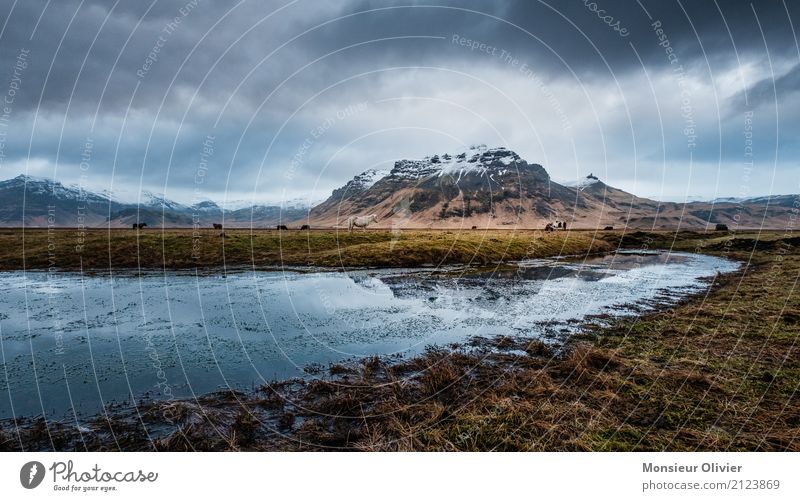 Iceland Water Sky Clouds Storm clouds Autumn Winter Weather Bad weather Wind Gale Emotions Moody Mountain Dramatic Field Colour photo Subdued colour