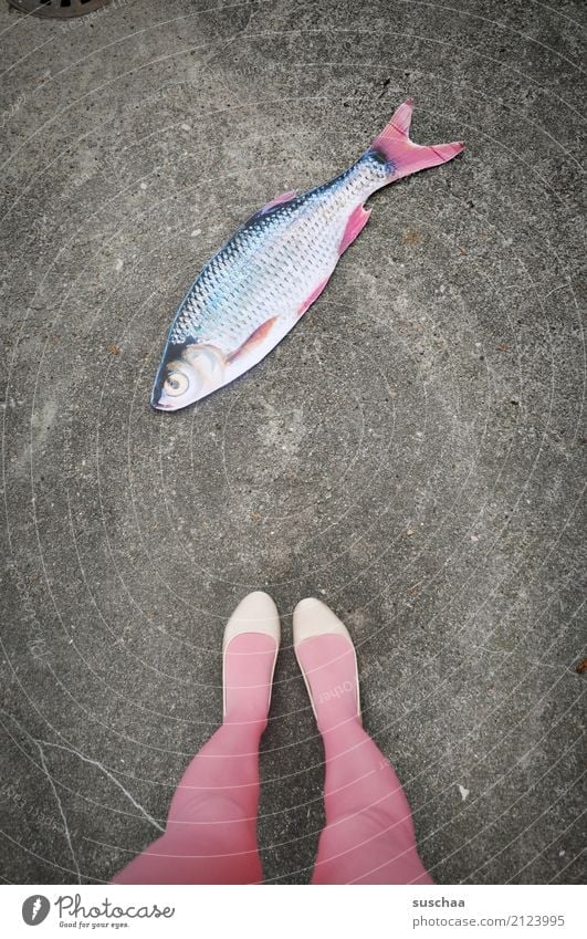 fish on land Fish Mock-up Paper False Surrealism Strange Legs Feet Footwear Stockings Stand Exterior shot feminine Street Pink