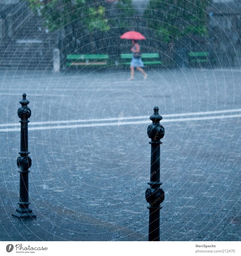 summer rain 1 Human being Water Drops of water Bad weather Storm Rain Thunder and lightning Town Going Wet Gray Green Red Umbrella Places Cobblestones Bollard