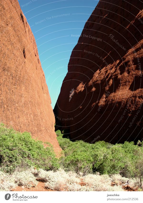 V Environment Nature Elements Rock Canyon Steppe Red Kata Tjuta Stone Cervice Australia Dry Hot Warmth Geology fold mountains Sandstone Bushes Blue Green