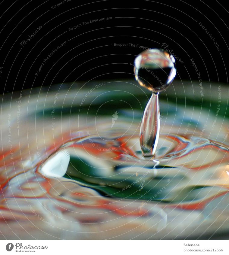 dripping wet Drinking water Water Drops of water Movement Fluid Fresh Small Wet Natural Round Clean Speed Uniqueness Pure Colour photo Interior shot Close-up