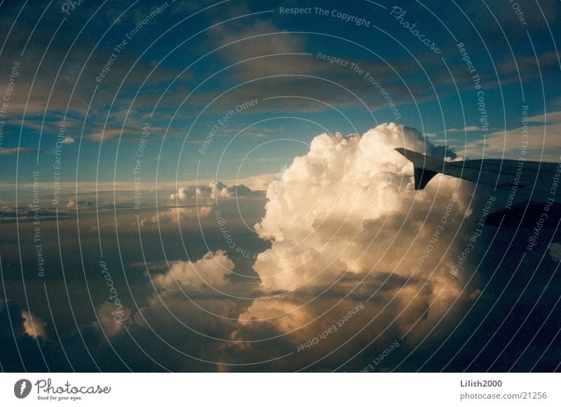 fly away Clouds Horizon Aviation Sky Sun Vacation & Travel