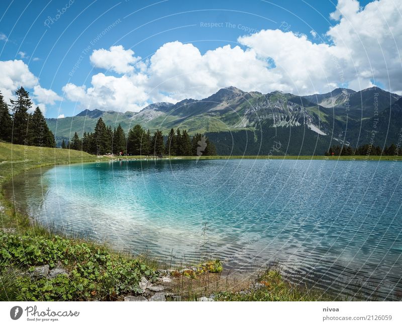 Lenzerheide Reservoir Summer vacation Mountain Hiking Swimming & Bathing Environment Nature Landscape Plant Animal Elements Water Sky Clouds Climate