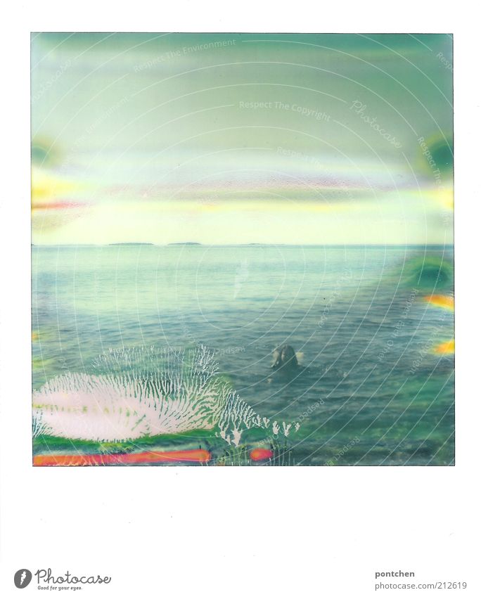 A woman swims in the sea. Polaroid. Vacation and relaxation. Light-hearted Leisure and hobbies Vacation & Travel Tourism Freedom Summer Summer vacation Ocean