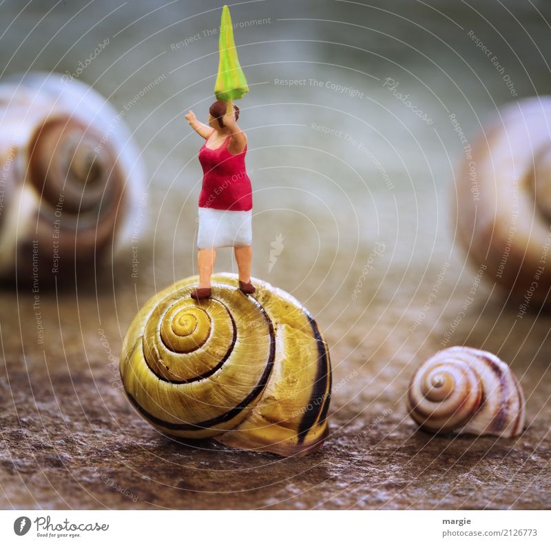 Miniwelten - Snails - Balance Model railroad Human being Feminine Woman Adults 1 Garden Animal Wild animal 4 Dance Yellow Square Umbrella Snail shell Spiral