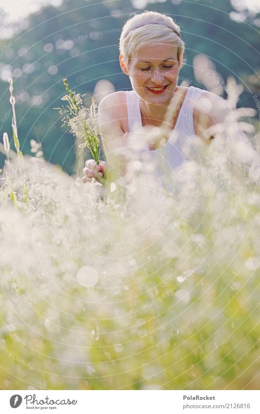 #A# Wild meadow Leisure and hobbies Art Esthetic Meadow Grass Collection Meadow flower Exterior shot Summer Park Pick Woman Young woman Field Laughter Smiling