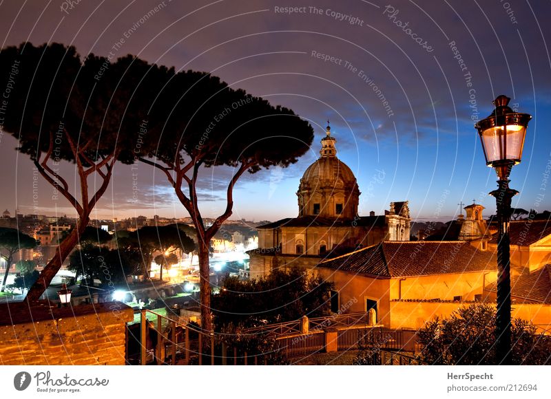 Campidoglio view, blue hour Tree Stone pine Rome Capital city House (Residential Structure) Church Beautiful Blue Calm Esthetic Moody Town Far-off places