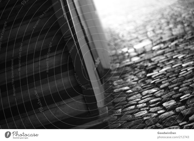 through the streets of Regensburg II Stairs Staircase (Hallway) Cobblestones Cobbled pathway Underpass Stone Wood Old Warmth Gray Moody Black & white photo