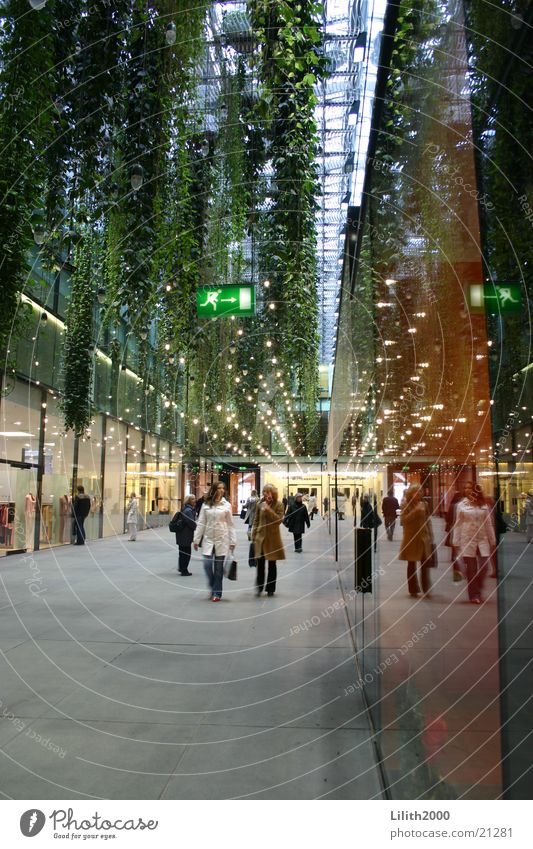 Five courtyards Munich Downtown Human being Pedestrian Shopping Green Liana Reflection Architecture Glass Corridor