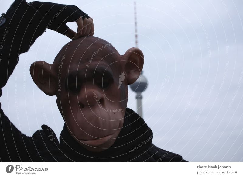 monkey town Human being Head Hand 1 Youth culture Fan Berlin TV Tower Capital city Wild animal Animal face Monkeys Apes Mask Costume Think Crazy Distress