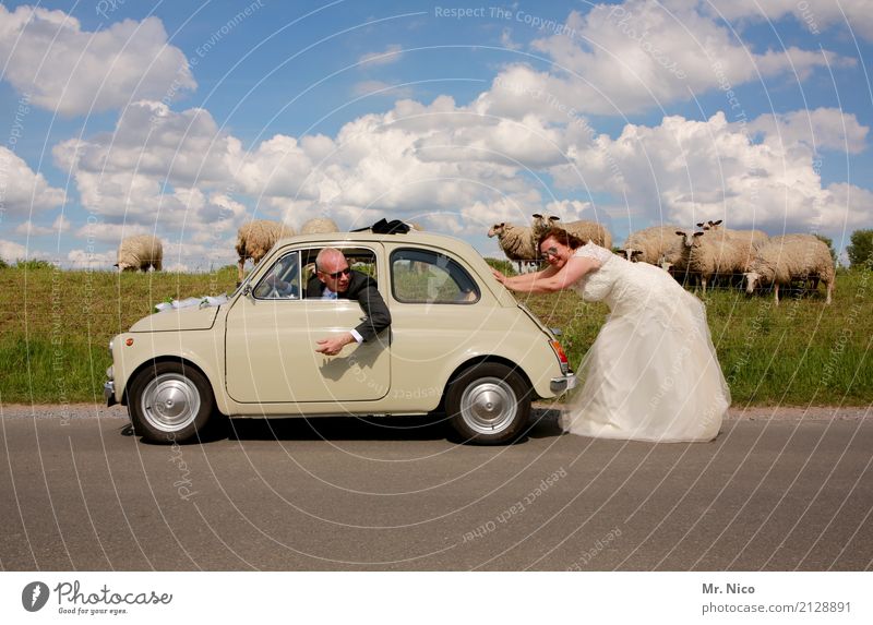 you drive me crazy Trip Summer Wedding Woman Adults Man Partner 2 Human being Nature Landscape Sky Clouds Beautiful weather Motoring Street Lanes & trails Car