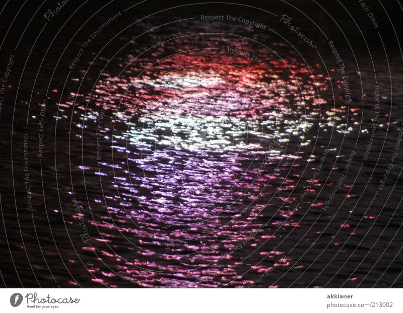 mirroring Elements Water Wet Violet Red Black Reflection Surface of water Colour photo Exterior shot Deserted Evening Night Shadow Light (Natural Phenomenon)
