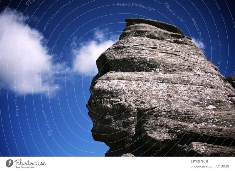Sfinxul Mountain Environment Nature Landscape Sky Summer Rock Romania Tourist Attraction Stone Exceptional Famousness Blue Gray Whimsical Face Head Stone block