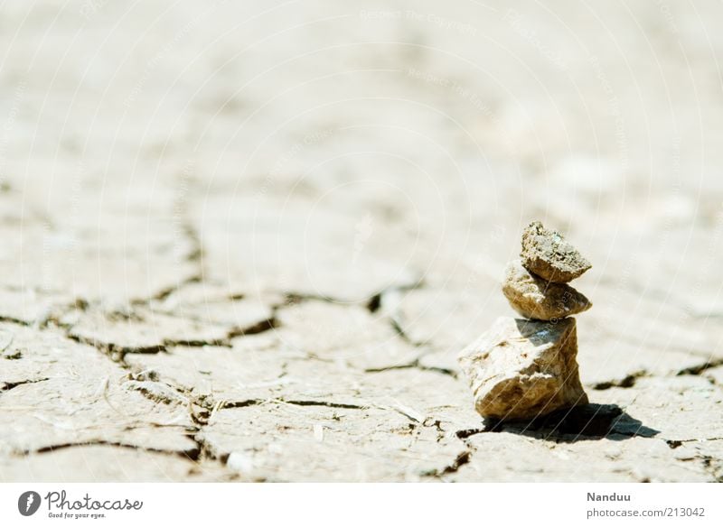 desert Landscape Summer Climate change Desert Gloomy Dry Crack & Rip & Tear Drought Stone Pile of stones Loneliness Close-up Neutral Background Shriveled Dried