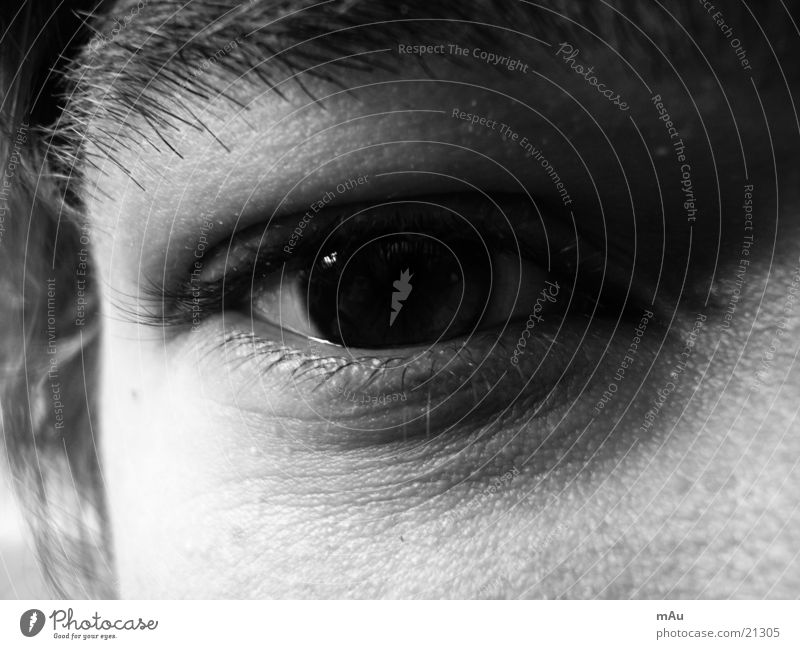 The eye Reflection Pupil Eyelash Man Eyes Looking Close-up Black & white photo