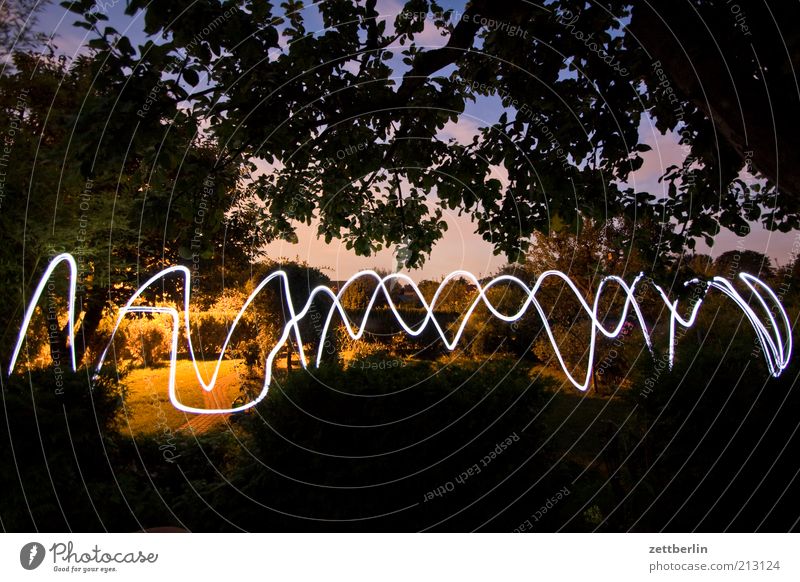 light wave Playing Garden Lamp Nature Tree Park Movement August Visual spectacle Line Wavy line Flashlight Sky Treetop Branch Long exposure Signal Curve Arch