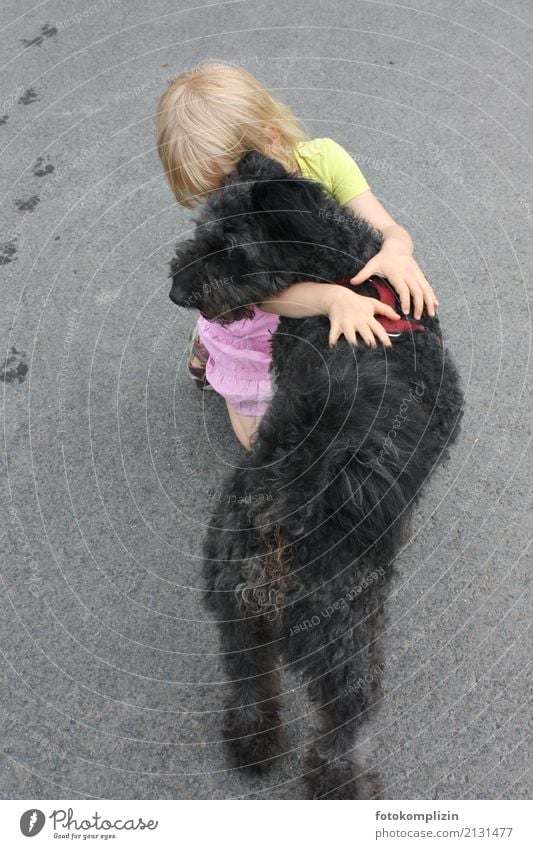 kneeling child hugging dog Embrace Girl Child Touch Infancy Pet Dog Animal Together Caress Near Trust Agreed Friendship Love of animals Sympathy Attentive