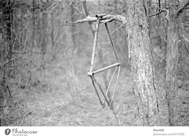 old iron Environment Nature Forest Hang Old Whimsical Decline Transience Bicycle frame Forget Black & white photo Exterior shot Deserted Shallow depth of field